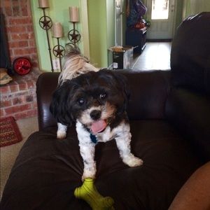 Meet your Posher, Caroline